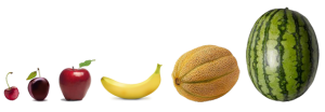 Agile-sizing-fruit-comparison